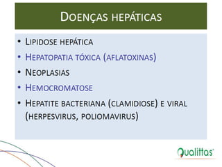  Medicina de Aves