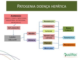  Medicina de Aves