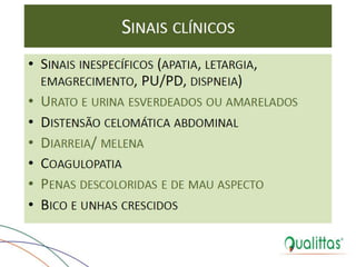  Medicina de Aves