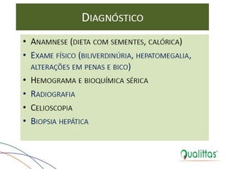  Medicina de Aves