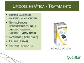  Medicina de Aves