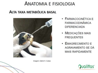  Medicina de Aves