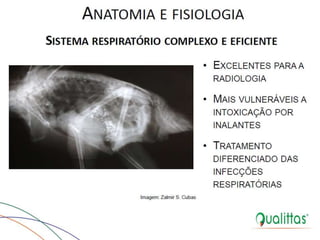  Medicina de Aves
