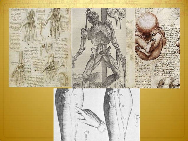 Medicina en el renacimiento