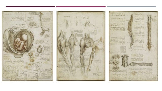 Resultado de imagen para medicina en el renacimiento