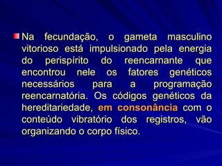 Na fecundação, o gameta masculino vitorioso está impulsionado pela energia do perispírito do reencarnante que encontrou nele os fatores genéticos necessários para a programação reencarnatória. Os códigos genéticos da hereditariedade,  em consonância  com o conteúdo vibratório dos registros, vão organizando o corpo físico.  