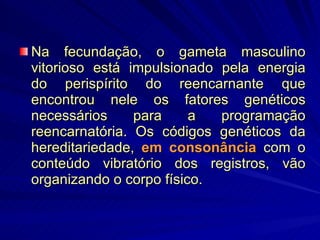 Na fecundação, o gameta masculino vitorioso está impulsionado pela energia do perispírito do reencarnante que encontrou nele os fatores genéticos necessários para a programação reencarnatória. Os códigos genéticos da hereditariedade,  em consonância  com o conteúdo vibratório dos registros, vão organizando o corpo físico.  
