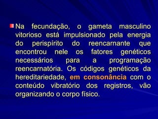 Na fecundação, o gameta masculino vitorioso está impulsionado pela energia do perispírito do reencarnante que encontrou nele os fatores genéticos necessários para a programação reencarnatória. Os códigos genéticos da hereditariedade,  em consonância  com o conteúdo vibratório dos registros, vão organizando o corpo físico.  
