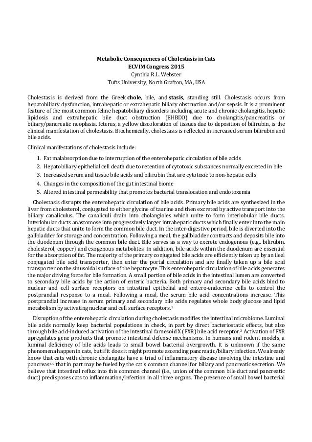 Medicina felina consequences of cholestasis in cats procedings