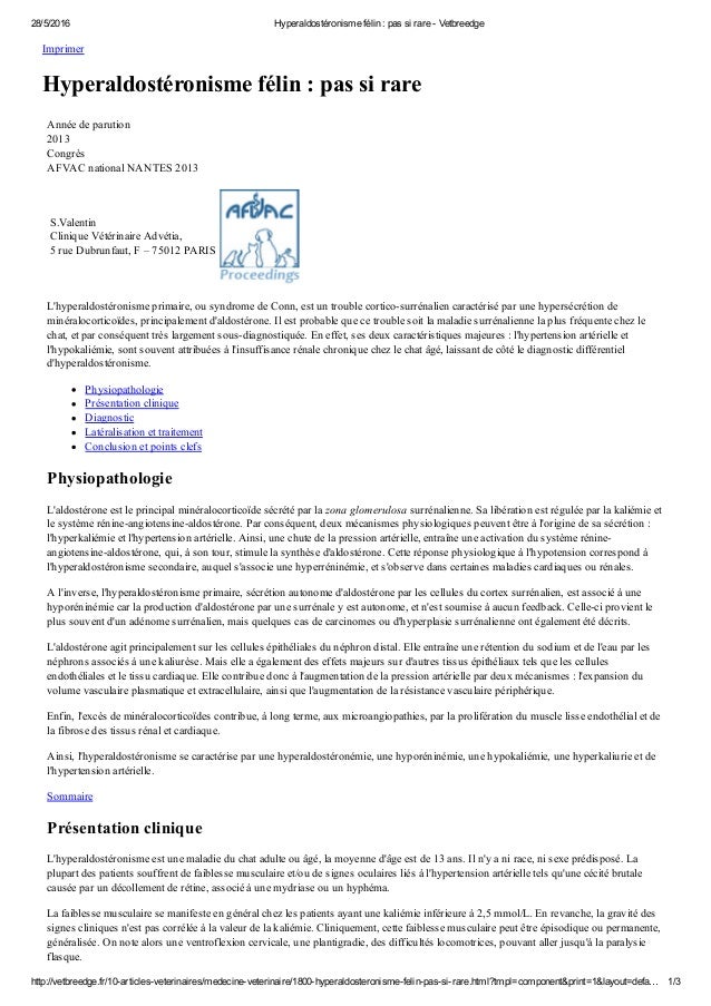 Medicina Felina Hyperaldosteronisme Felin Pas Si Rare Vetbreed