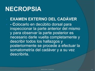 Asistencia a exhumacionesMEDICINA FORENSE2