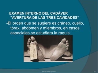 TANATOLOGÍATiene sus raíces en el griego TANATOS- MUERTE y LOGOS- ESTUDIO. Pero en cuanto a la medicina forense, la tanatología es la rama que estudia los cambios físicos, químicos y microbianos, que presenta el cadáver. MEDICINA FORENSE4