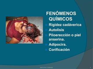 Análisis o asistencia a autopsias 