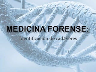Medicina forense: Identificación de cadáveres 