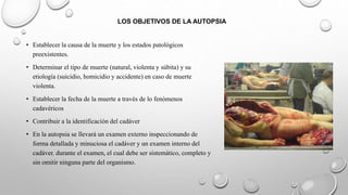 LOS OBJETIVOS DE LA AUTOPSIA
• Establecer la causa de la muerte y los estados patológicos
preexistentes.
• Determinar el tipo de muerte (natural, violenta y súbita) y su
etiología (suicidio, homicidio y accidente) en caso de muerte
violenta.
• Establecer la fecha de la muerte a través de lo fenómenos
cadavéricos
• Contribuir a la identificación del cadáver
• En la autopsia se llevará un examen externo inspeccionando de
forma detallada y minuciosa el cadáver y un examen interno del
cadáver. durante el examen, el cual debe ser sistemático, completo y
sin omitir ninguna parte del organismo.
 