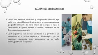 EL ÁREA DE LA MEDICINA FORENSE
• Estudia toda alteración en la salud y cualquier otro daño que deje
huella en el material humano, la alteración en la estructura anatómica
que puede repercutir o no en la función de un órgano o tejido a
consecuencia de agentes externos o internos, lesionantes en un
determinado tiempo y espacio.
• Desde el punto de vista médico, una lesión es el producto de un
traumatismo o la secuela orgánica o fisiopatológica que un
organismo experimenta como consecuencia de un daño
externo, pueden ser lo siguiente:
 