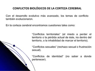 “Conflictos territoriales” (el miedo a perder el
territorio o la pérdida actual de éste, ira dentro del
territorio, o la inhabilidad de marcar el territorio).
“Conflictos sexuales” (rechazo sexual o frustración
sexual).
“Conflictos de identidad” (no saber a donde
pertenecer).
CONFLICTOS BIOLÓGICOS DE LA CORTEZA CEREBRAL
Con el desarrollo evolutivo más avanzado, los temas de conflicto
también evolucionaron.
En la corteza cerebral encontramos cuestiones tales como:
 