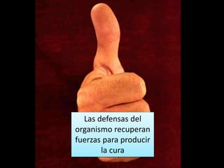Las defensas del
organismo recuperan
fuerzas para producir
la cura
 
