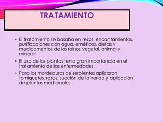 TRATAMIENTO
• El tratamiento se basaba en rezos, encantamientos,
purificaciones con agua, eméticos, dietas y
medicamentos de los reinos vegetal, animal y
mineral.
• El uso de las plantas tenía gran importancia en el
tratamiento de las enfermedades.
• Para los mordeduras de serpientes aplicaron
torniquetes, rezos, succión de la herida y aplicación
de plantas medicinales.
 