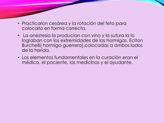 • Practicaron cesárea y la rotación del feto para
colocarlo en forma correcta.
• La anestesia la producían con vino y la sutura la lo
lograban con los extremidades de las hormigas. Eciton
Burchelli( hormiga guerrera),colocadas a ambos lados
de la herida.
• Los elementos fundamentales en la curación eran el
médico, el paciente, las medicinas y el ayudante.
 