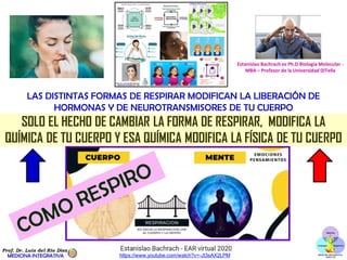 TIPOS O FORMAS DE RESPIRAR
RESPIRACIÓN 4-7-8 DEL DR. ANDREW WEIL
https://genial.guru/creacion-salud/una-autora-de-genial-p...