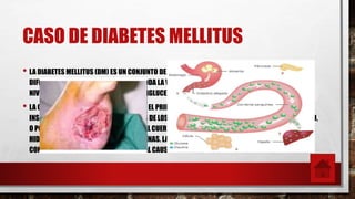 CASO DE DIABETES MELLITUS
• LA DIABETES MELLITUS (DM) ES UN CONJUNTO DE TRASTORNOSMETABÓLICOS, QUE AFECTA A
DIFERENTES ÓRGANOS Y TEJIDOS, DURA TODA LA VIDA Y SE CARACTERIZAPOR UN AUMENTO DE LOS
NIVELES DE GLUCOSA EN LA SANGRE:HIPERGLUCEMIA.
• LA CAUSAN VARIOS TRASTORNOS, SIENDO EL PRINCIPAL LA BAJA PRODUCCIÓN DE LA HORMONA
INSULINA, SECRETADA POR LAS CÉLULAS Β DE LOS ISLOTES DE LANGERHANS DEL PÁNCREAS ENDOCRINO,
O POR SU INADECUADO USO POR PARTE DELCUERPO, QUE REPERCUTIRÁ EN EL METABOLISMO DE LOS
HIDRATOS DE CARBONO, LÍPIDOS Y PROTEÍNAS. LA DIABETES MELLITUS YSU COMORBILIDAD
CONSTITUYEN ACTUALMENTE LA PRINCIPAL CAUSA DE PREOCUPACIÓN EN SALUD PÚBLICA.
 