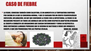 CASO DE FIEBRE
• LA FIEBRE, CONOCIDA TAMBIÉN COMO CALENTURA, ES UN AUMENTO EN LA TEMPERATURA CORPORAL
POR ENCIMA DE LO QUE SE CONSIDERA NORMAL, Y QUE ES CAUSADO POR UN EVENTO FISIOPATOLÓGICO
(INFECCIÓN, INFLAMACIÓN). NO HAY QUE CONFUNDIR LA FIEBRE CON LA HIPERTERMIA. LA FIEBRE ES UN
MECANISMO PRESENTE EN TODOS LOS ANIMALES QUE ACTÚA COMO RESPUESTA ADAPTATIVA AYUDANDO
AL CUERPO A COMBATIR LOS ORGANISMOS QUE CAUSAN ENFERMEDADES Y SURGE EN RESPUESTA A
UNAS SUSTANCIAS LLAMADAS PIRÓGENOS QUE SE DERIVAN DE BACTERIAS O VIRUS QUE INVADEN EL
CUERPO, O QUE SON PRODUCIDAS POR LAS PROPIAS CÉLULAS. VIRUS DEL DENGUE
 