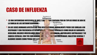 CASO DE INFLUENZA
• ES UNA ENFERMEDAD INFECCIOSA DE AVES Y MAMÍFEROS CAUSADA POR UN TIPO DE VIRUS DE ARN DE
LA FAMILIA DE LOS ORTHOMYXOVIRIDAE.
• EN LOS SERES HUMANOS AFECTA A LAS VÍAS RESPIRATORIAS, INICIALMENTE PUEDE SER SIMILAR A UN
RESFRIADO Y CON FRECUENCIA SE ACOMPAÑA DE SÍNTOMAS GENERALES COMO DOLOR DE GARGANTA,
DEBILIDAD, DOLORES MUSCULARES (MIALGIAS), DOLOR ESTOMACAL, ARTICULARES (ARTRALGIAS) Y DE
CABEZA (CEFALEA), CON TOS (QUE GENERALMENTE ES SECA Y SIN MUCOSIDAD), MALESTAR GENERAL Y
ALGUNOS SIGNOS COMO PUEDA SER LA FIEBRE.
 