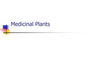 Medicinal Plants
 