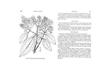 Medicinal plants- Slide 35