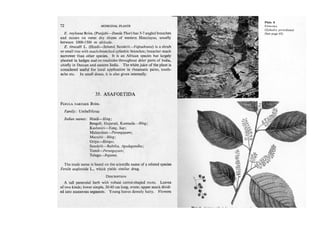 Medicinal plants- Slide 47