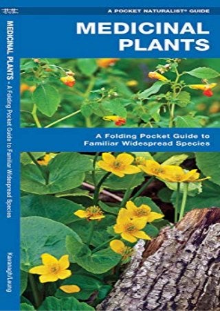 Medicinal Plants: A Folding Pocket Guide to Familiar Widespread Species (Outdoor Skills and Preparedness)
 