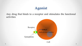 Molecular mechanisms of drugs | PPTX