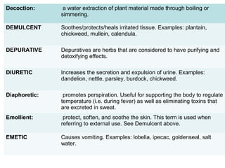 Medicinal and aromatical plants,cultivation of medicinal and aromatic ...