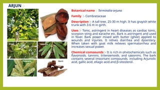 IDENTIFICATION OF THE MEDICINAL AND AROMATIC PLANTS | PPTX