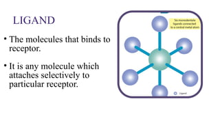 MEDICINAL CHEMISTRY AGONIST VS ANTAGONIST | PPTX