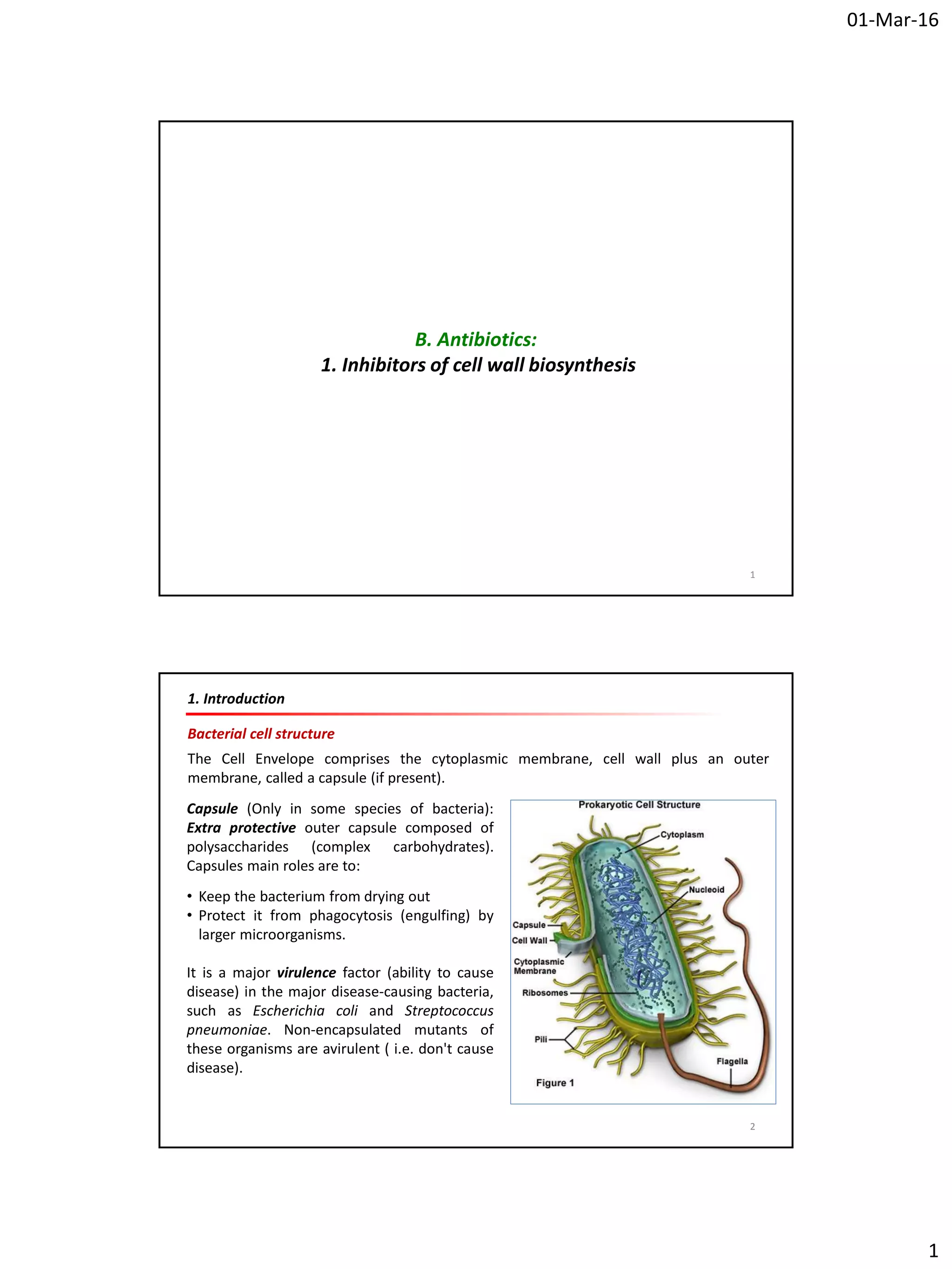 Medicinal chemistry iii_penicillins_part_1 | PDF