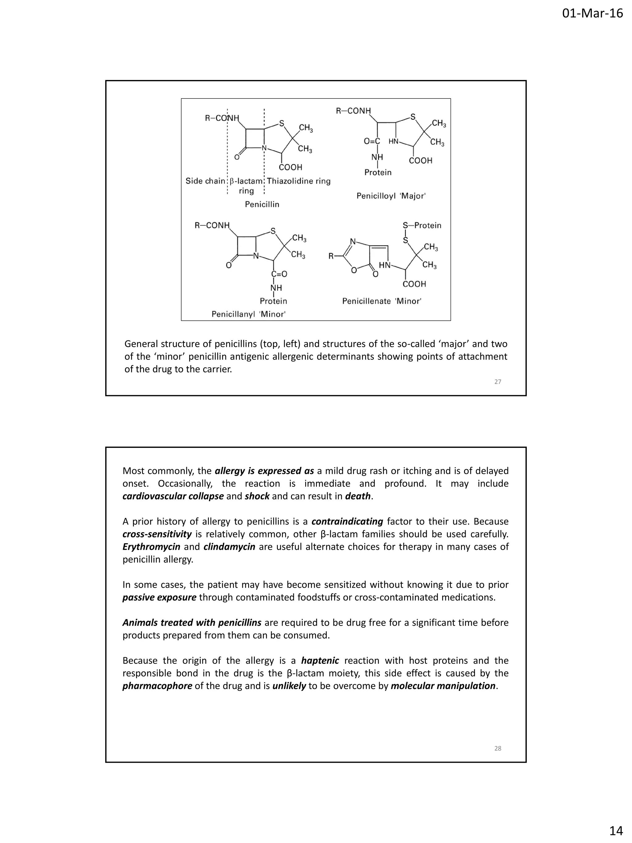 Medicinal chemistry iii_penicillins_part_1 | PDF