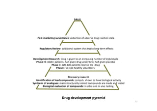 Post-marketing surveillance: collection of adverse drug reaction data
Regulatory Review: additional system that tracks long-term effects
Development Research: Drug is given to an increasing number of individuals
Phase III: 3000+ patients, half given drug under test, half given placebo
Phase II: 200-400 patients receive the drug
Phase I: 50-100 healthy volunteers
Discovery research
Identification of lead compounds: compds. shown to have biological activity
Synthesis of analogues: many structurally related compounds are made and tested
Biological evaluation of compounds: in vitro and in vivo testing.
DRUG
Drug development pyramid
21
 