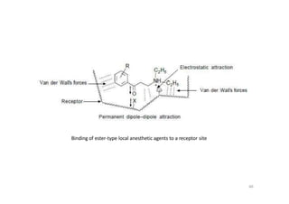 Binding of ester-type local anesthetic agents to a receptor site
60
 
