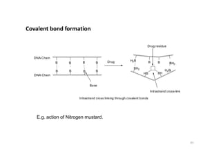 B
B
B
B
B
B
B
B
Drug residue
DNA Chain
DNA Chain
B B BH2
H2B
H2B
BH2
HB BH
Drug
Covalent bond formation
Base
Intrastrand cross-link
Intrastrand cross linking through covalent bonds
65
E.g. action of Nitrogen mustard.
 