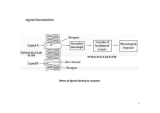 signal transduction.
Effects of ligands binding to receptors
71
 