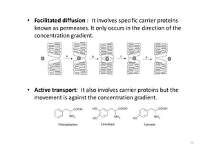 • Facilitated diffusion : It involves specific carrier proteins
known as permeases. It only occurs in the direction of the
concentration gradient.
• Active transport: It also involves carrier proteins but the
movement is against the concentration gradient.
76
 