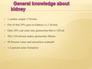  1 cardiac output -5 lit/min.
 Out of that 20% goes to kidneys i.e.1 lit/min.
 Only 20% can enter into glomerelus that is 120 ml.
 This 120 ml/min makes glomerular filtrate.
 98 Percent water and electrolyte reabsorb
 1-2 percent urine formation
 