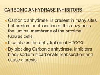 CARBONIC ANHYDRASE INHIBITORS
 Carbonic anhydrase is present in many sites
but predominent location of this enzyme is
the luminal membrane of the proximal
tubules cells.
 It catalyzes the dehydration of H2CO3 .
 By blocking Carbonic anhydrase, inhibitors
block sodium bicarbonate reabsorption and
cause diuresis.
 