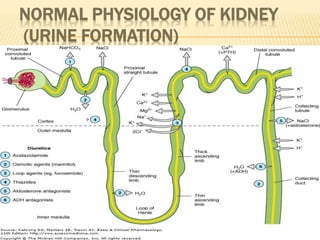 NORMAL PHYSIOLOGY OF KIDNEY
(URINE FORMATION)
 
