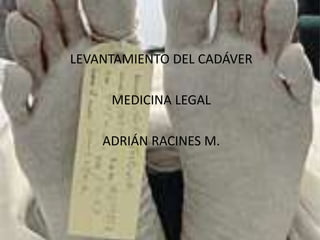 LEVANTAMIENTO DEL CADÁVER MEDICINA LEGAL ADRIÁN RACINES M. 