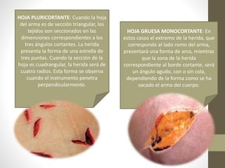 Medicina legal | PPTX