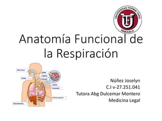 Anatomía Funcional de
la Respiración
Núñez Joselyn
C.I v-27.251.041
Tutora Abg Dulcemar Montero
Medicina Legal
 