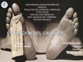 INTEGRANTES:
Callaspo
Oswaldo
C.I. 18.779.439
UNIVERSIDAD BICENTENARIA DE
ARAGUA
FACULTAD DE CIENCIAS JURIDICAS
Y POLITICAS
ESCUELA DE DERECHO
SAN JOAQUIN DE TURMERO-
ESTADO ARAGUA
Profesor:
Roberto Gómez
 